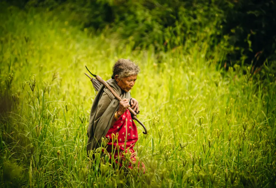 Odisha at a Glance
