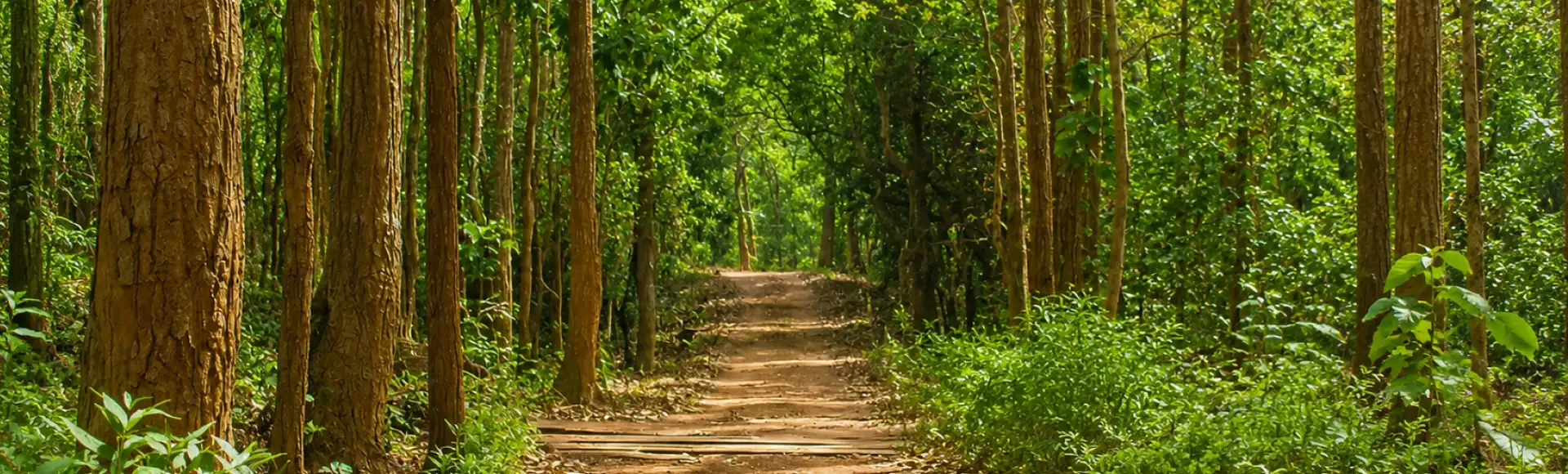 Odisha at a Glance