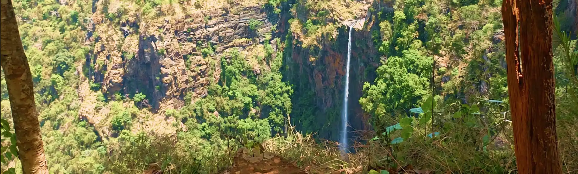 Odisha at a Glance