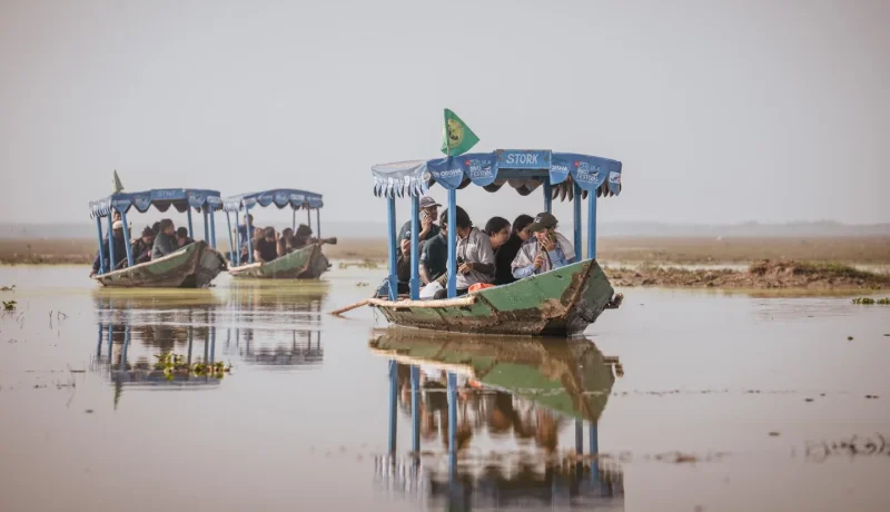 Event-National-Chilika-Bird-Festival.webp
