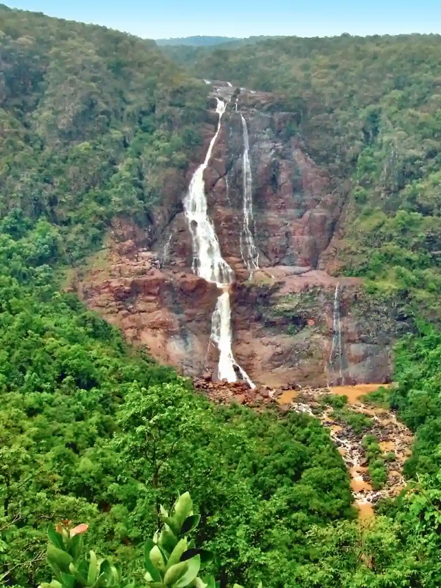 north-od-Barehipani-Waterfall-card (1).webp