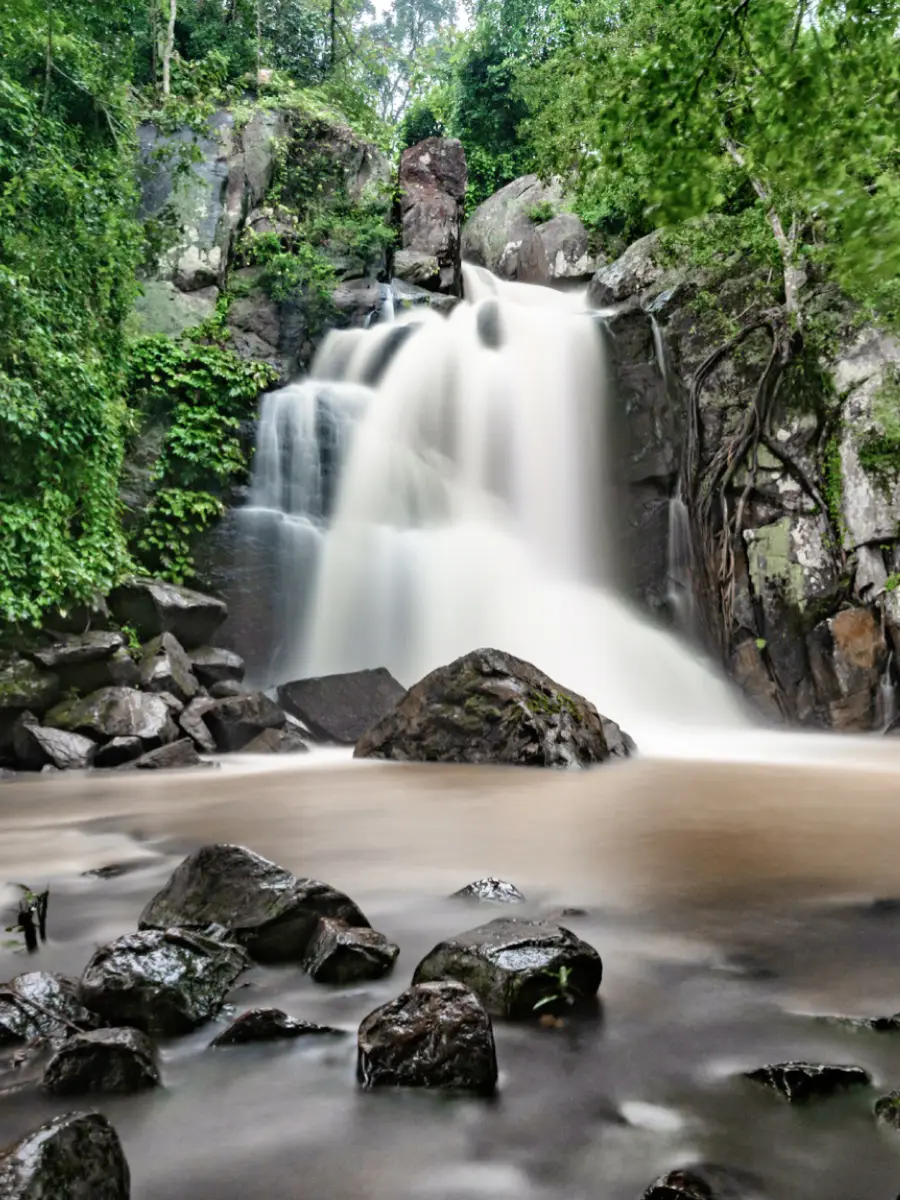 south-od-Daringbadi-Hills-card.webp