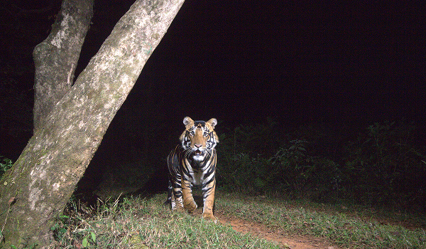 Wildlife Sanctuaries of Odisha